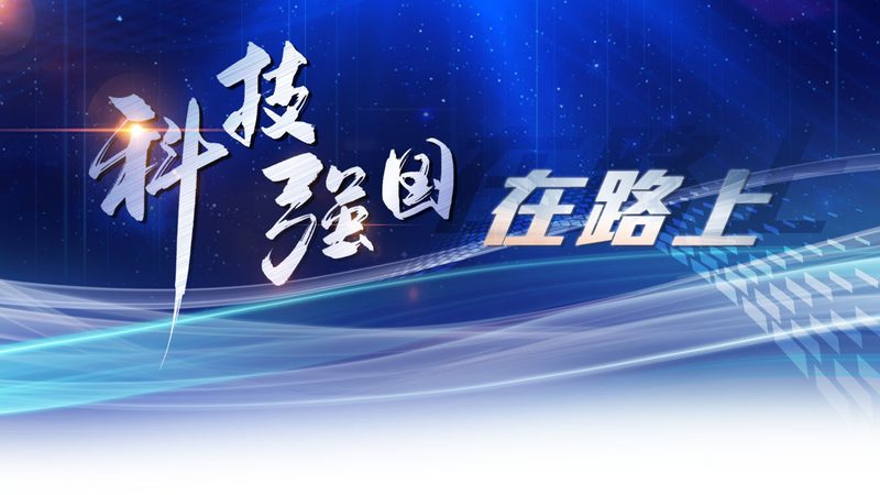 深圳智能客服开发项目报价单：揭秘定制化服务的关键要素**